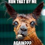animal | RUN THAT BY ME; AGAIN??? | image tagged in animal | made w/ Imgflip meme maker