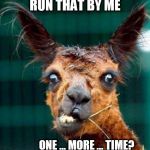 animal | RUN THAT BY ME; ONE ... MORE ... TIME? | image tagged in animal | made w/ Imgflip meme maker