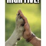 animal rescue | HIGH FIVE! | image tagged in animal rescue | made w/ Imgflip meme maker