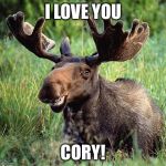 Smiling moose | I LOVE YOU; CORY! | image tagged in smiling moose | made w/ Imgflip meme maker