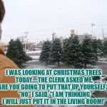 Christmas trees | I WAS LOOKING AT CHRISTMAS TREES TODAY.....THE CLERK ASKED ME, "ARE YOU GOING TO PUT THAT UP YOURSELF?", "NO" I SAID, "I AM THINKING I WILL JUST PUT IT IN THE LIVING ROOM!" | image tagged in christmas trees,memes,funny memes,funny,christmas | made w/ Imgflip meme maker