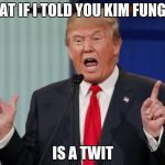 What If I Told You Donald Trump | WHAT IF I TOLD YOU KIM FUNG-UN; IS A TWIT | image tagged in what if i told you donald trump | made w/ Imgflip meme maker