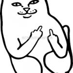 Cat With Middle Fingers meme