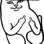 If You Don't Wanna Talk to Anyone... | Whenever you do not want to talk to anyone at all; So you show them this cat here! | image tagged in cat with middle fingers,memes,cat memes,nsfw | made w/ Imgflip meme maker