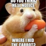 Carrot hamster | DO YOU THINK HE'LL NOTICE; WHERE I HID THE CARROT? | image tagged in carrot hamster | made w/ Imgflip meme maker