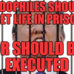 Donald Trump For Prison | PEDOPHILES SHOULD GET LIFE IN PRISON; OR SHOULD BE
      EXECUTED | image tagged in donald trump for prison | made w/ Imgflip meme maker