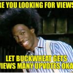 Wook No Fuwther.  | ARE YOU LOOKING FOR VIEWS? LET BUCKWHEAT GETS VIEWS MANY UPVOTES OKAY. | image tagged in buckwheat,wooken pa views in all da wong pwaces,we gots views up da ying yang,memes funny,ha ha very funny m f | made w/ Imgflip meme maker