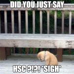 Sad Puppy | DID YOU JUST SAY; HSC ?!?! *SIGH* | image tagged in sad puppy | made w/ Imgflip meme maker