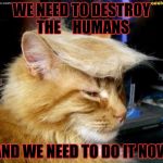 donald trump cat | WE NEED TO DESTROY THE 
  HUMANS; AND WE NEED TO DO IT NOW | image tagged in donald trump cat | made w/ Imgflip meme maker