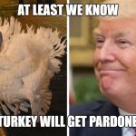 trump turkey pardon | AT LEAST WE KNOW; WHICH TURKEY WILL GET PARDONED FIRST. | image tagged in trump turkey pardon | made w/ Imgflip meme maker