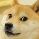 Doge Game | WHEN YOU TELL SOMEONE NOT TO DO SOMETHING; BUT THEY DO IT ANYWAYS | image tagged in doge game | made w/ Imgflip meme maker