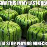 Minecraft Melons | I SAW THIS IN MY LAST DREAM; GOTTA STOP PLAYING MINECRAFT | image tagged in minecraft melons | made w/ Imgflip meme maker