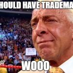 Ric Flair Who | I SHOULD HAVE TRADEMARK; WOOO | image tagged in ric flair who | made w/ Imgflip meme maker