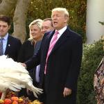 Trump pardons turkey
