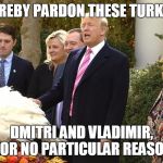 Trump pardons turkey | I HEREBY PARDON THESE TURKEYS, DMITRI AND VLADIMIR, FOR NO PARTICULAR REASON | image tagged in trump pardons turkey | made w/ Imgflip meme maker