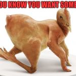 Sexy Chicken Posing | YOU KNOW YOU WANT SOME... | image tagged in sexy chicken posing | made w/ Imgflip meme maker