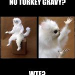 Stuffed Monkey | NO TURKEY GRAVY? WTF? | image tagged in stuffed monkey | made w/ Imgflip meme maker