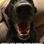 Camera on selfie mode | WHEN YOU OPEN YOUR CAMERA AND IT’S IN SELFIE MODE | image tagged in happy dog face,dogs,funny,funny memes,animals,cute dog | made w/ Imgflip meme maker
