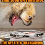 Post Thanksgiving Weigh-In | THAT LOOK ON YOUR FACE; THE DAY AFTER THANKSGIVING | image tagged in dog scale,memes,overweight,thanksgiving | made w/ Imgflip meme maker