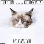 Grumpy Cat snow | NOT BIG    ........   NOT CLEVER; GO AWAY! | image tagged in grumpy cat snow | made w/ Imgflip meme maker