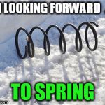 spring in snow | I'M LOOKING FORWARD  ...... TO SPRING | image tagged in spring in snow | made w/ Imgflip meme maker