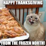 To My ImgFlip Buds In The USA :-) | HAPPY THANKSGIVING; FROM THE FROZEN NORTH! | image tagged in chicken lover | made w/ Imgflip meme maker