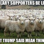 Hillary Supporters | HILLARY SUPPORTERS BE LIKE; BUT TRUMP SAID MEAN THINGS | image tagged in hillary supporters | made w/ Imgflip meme maker