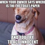 Smile dog | WHEN YOUR OWNER SAYS WHERE IS THE THE TOILET PAPER; AND YOU TRY TO ACT INNOCENT | image tagged in smile dog | made w/ Imgflip meme maker