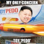 North Korea Rocket  | MY ONLY CONCERN; TOY 'PEDO' | image tagged in north korea rocket | made w/ Imgflip meme maker