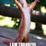 Praying Squirrel | I AM THANKFUL FOR ALL OF Y'ALL | image tagged in praying squirrel | made w/ Imgflip meme maker