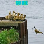 baby ducks | GO DIE | image tagged in baby ducks | made w/ Imgflip meme maker