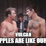 Not so different   Hope it' not offensive | VULCAN; NIPPLES ARE LIKE OURS | image tagged in kirk and spock gay,star trek week | made w/ Imgflip meme maker