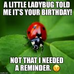Ladybug | A LITTLE LADYBUG TOLD ME IT’S YOUR BIRTHDAY! NOT THAT I NEEDED A REMINDER. 😉 | image tagged in ladybug | made w/ Imgflip meme maker