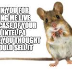 Just Throw it away | THANK YOU FOR LETTING ME LIVE IN THE CASE OF YOUR OLD INTEL P4 BECAUSE YOU THOUGHT YOU COULD SELL IT | image tagged in mouse | made w/ Imgflip meme maker