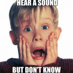 Home Alone Scream | WHEN YOU HEAR A SOUND; BUT DON'T KNOW WHAT IT IS | image tagged in home alone scream | made w/ Imgflip meme maker