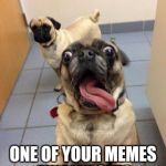 Yes thank you | YOU WHEN; ONE OF YOUR MEMES FINALLY GETS THE FRONT PAGE. | image tagged in so excited | made w/ Imgflip meme maker