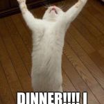 FINALLY | OH MAH GAWD; DINNER!!!! I WAS DYING!!!!!! | image tagged in evil cat | made w/ Imgflip meme maker