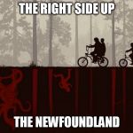 stranger things | THE RIGHT SIDE UP; THE NEWFOUNDLAND | image tagged in stranger things | made w/ Imgflip meme maker