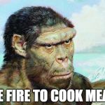 Skeptical primitive | USE FIRE TO COOK MEAT? | image tagged in skeptical primitive | made w/ Imgflip meme maker