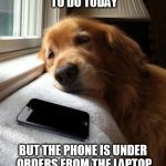 Monday sad pup | I HAVE SO MUCH TO DO TODAY; BUT THE PHONE IS UNDER ORDERS FROM THE LAPTOP NOT TO LET ME MOVE. | image tagged in monday sad pup | made w/ Imgflip meme maker
