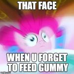 wake up call | THAT FACE; WHEN U FORGET TO FEED GUMMY | image tagged in wake up call | made w/ Imgflip meme maker