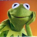 Condescending Kermit