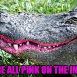 Gator Lipstick | WE'RE ALL PINK ON THE INSIDE | image tagged in gator lipstick | made w/ Imgflip meme maker