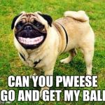 Get My Ball Pweese
 | CAN YOU PWEESE GO AND GET MY BALL | image tagged in dog smile | made w/ Imgflip meme maker