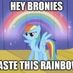 rainbow dash pony | HEY BRONIES; TASTE THIS RAINBOW | image tagged in rainbow dash pony | made w/ Imgflip meme maker