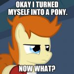 Futurama Fry Pony | OKAY I TURNED MYSELF INTO A PONY. NOW WHAT? | image tagged in futurama fry pony | made w/ Imgflip meme maker
