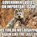 Sad Rock Bunny | GOVERNMENT VOTES ON IMPORTANT ISSUE; I HOPE YOU DO NOT DISAPPOINT ME AGAIN LIKE THE LAST TIME | image tagged in sad rock bunny | made w/ Imgflip meme maker