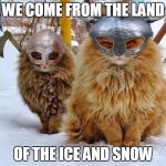 Viking Cats | WE COME FROM THE LAND; OF THE ICE AND SNOW | image tagged in viking cats | made w/ Imgflip meme maker