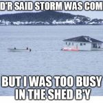 Newfoundland | MUD'R SAID STORM WAS COMING; BUT I WAS TOO BUSY IN THE SHED B'Y | image tagged in newfoundland | made w/ Imgflip meme maker