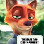 gay furries | THERE ARE TWO KINDS OF FURRIES. GAY FURRIES AND FETISH FURRIES. FETISH FURRIES ARE GAY TOO | image tagged in gay furries,bros,furries,bruh,fetish,gay | made w/ Imgflip meme maker